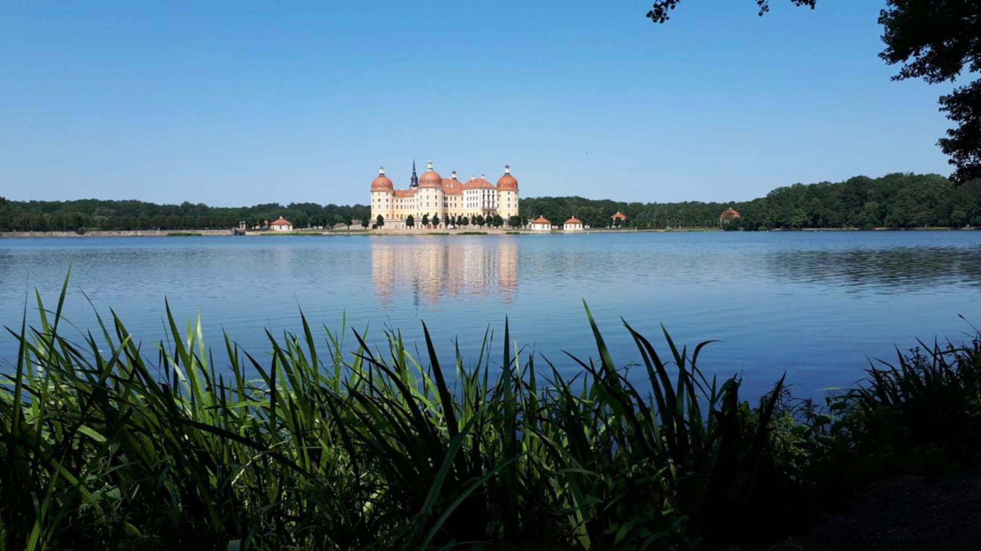 Ferienwohung In Dresden Am Elbhang ภายนอก รูปภาพ